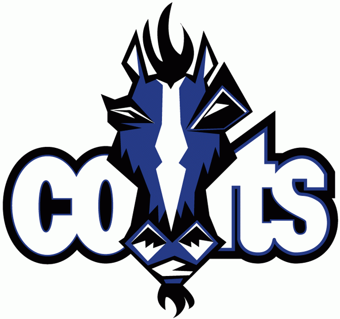 Indianapolis Colts 2001 Unused Logo fabric transfer version 2